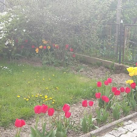 Álom Kuckó Apartman Zalaegerszeg Exterior foto